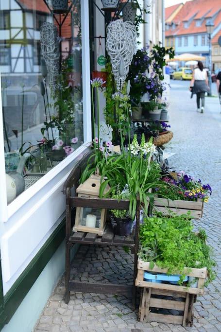 Schoene Ferienwohnung Mit Zwei Schlafzimmern 크베들린부르크 외부 사진